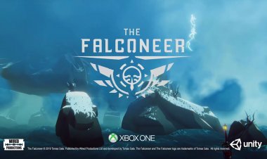 The Falconeer