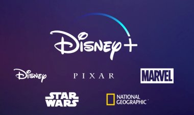 Disney представили публике даты выхода своих новых фильмов