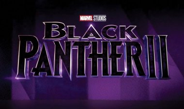 Black Panther director to take on series for Disney+, starting with Wakanda show