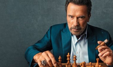 Arnold Schwarzenegger signed on for a series for Netflix in the spirit of Mr. and Mrs. Smith