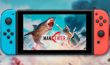 Maneater: обзор игры для Nintendo Switch