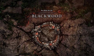 С запуском "Blackwood" в The Elder Scrolls Online у новых и уже существующих игроков есть три способа начать новую главу