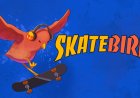 SkateBIRD
